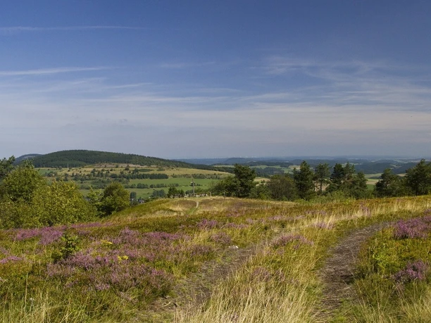 Usseler Heide