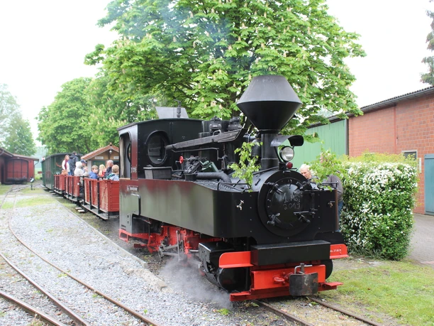 DKBM_Lok3_Kleinbahnhof Schmalspurdampflok zieht offene Wagons über Schienen; umgeben von Bäumen und Gebäuden im Hintergrund.