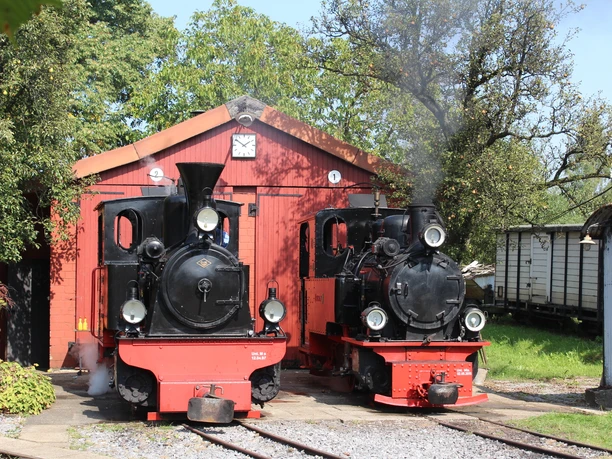 Zwei historische Dampflokomotiven stehen vor einem roten Schuppen, umgeben von Bäumen und Gleisen.