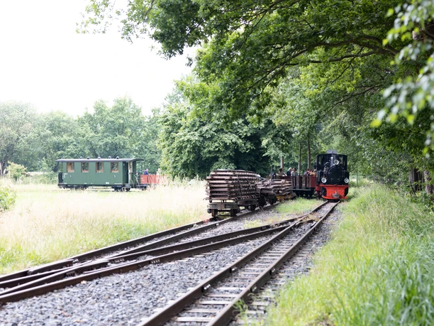 Dampfkleinbahn © Lena Descher-4.jpg Historische Dampflokomotive auf Schmalspurgleisen in bewaldeter Landschaft mit grünen Wiesenflächen.