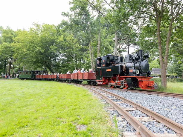 Dampfkleinbahn © Lena Descher-5.jpg Historische Dampflok zieht Wagen mit Fahrgästen durch grünen Park, umgeben von Bäumen.