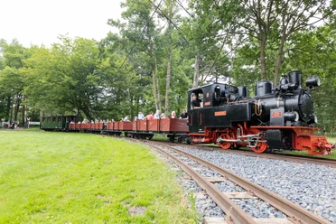 Eine historische Dampfeisenbahn fährt durch eine grüne Landschaft, umgeben von Bäumen und Fahrgästen.
