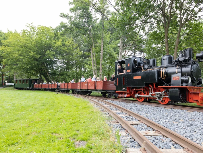 Eine historische Dampfeisenbahn fährt durch eine grüne Landschaft, umgeben von Bäumen und Fahrgästen.