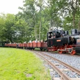 Dampfkleinbahn Eine historische Dampfeisenbahn fährt durch eine grüne Landschaft, umgeben von Bäumen und Fahrgästen.
