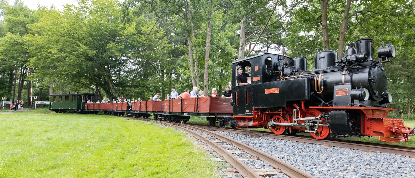 Eine historische Dampfeisenbahn fährt durch eine grüne Landschaft, umgeben von Bäumen und Fahrgästen.