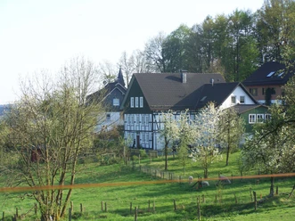 Fachwerkhäuser in Essinghausen mit blühenden Obstbäumen und grünen Weiden