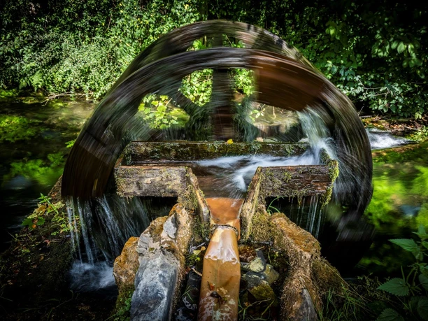 Wasserad Entenstall