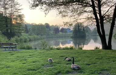 Stryckteich im Abendlicht