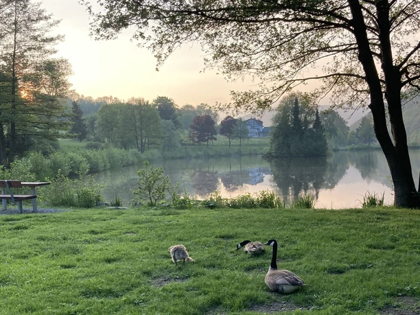 Stryckteich im Abendlicht