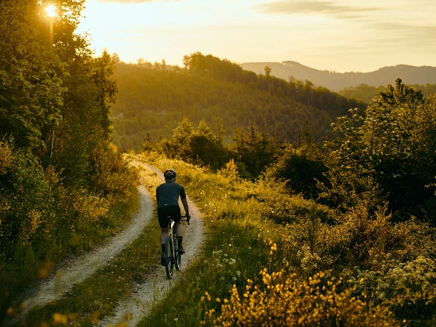 Gravelbiker auf Waldweg bei tief stehender Sonne im hügeligen Sauerland