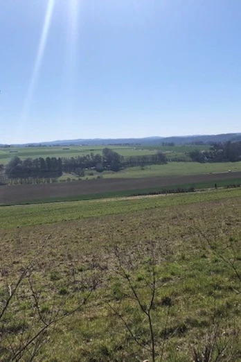 Den Blick schweifen lassen