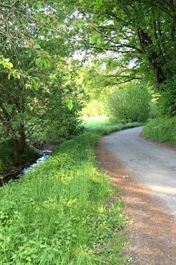 Renaturierte Bäche laden zum Verweilen ein