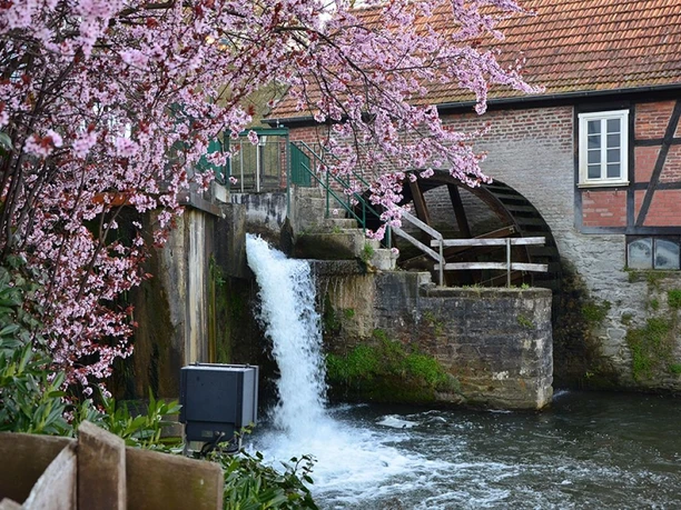 Stütingsmühle Stütingsmühle mit Wasserrad, Wasserfall und rosa Blüten vor historischem Fachwerk
