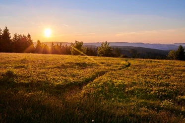 Sonnenuntergang in der Heidelandschaft auf dem Kahlen Asten