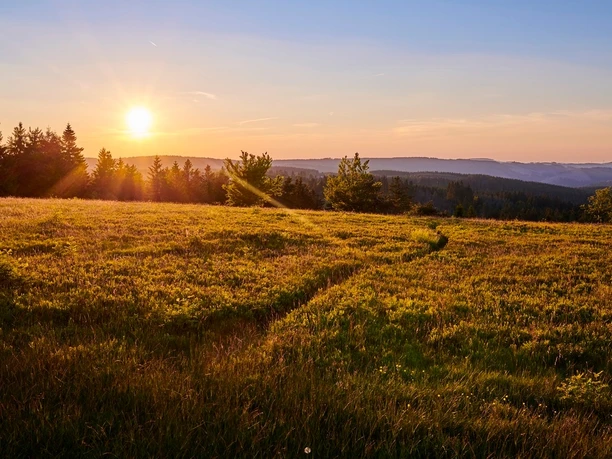 Sonnenuntergang in der Heidelandschaft auf dem Kahlen Asten