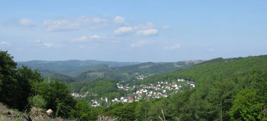 Blick vom Kohlberg auf Dahle