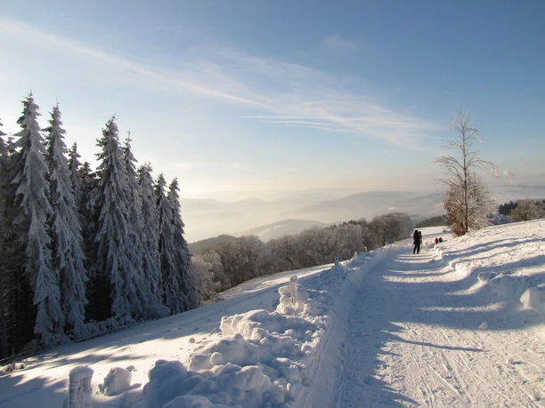 Ausblick von Wildewiese Schneebedeckter Wanderweg mit weiter Aussicht