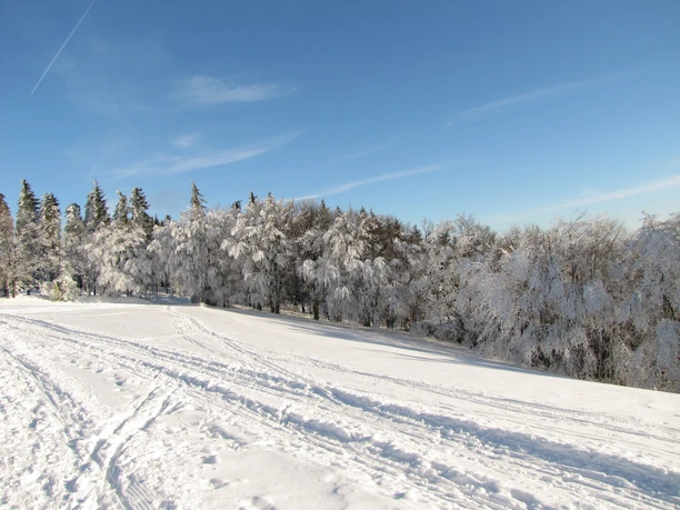 Verschneite Wälder Verschneite Winterlandschaft