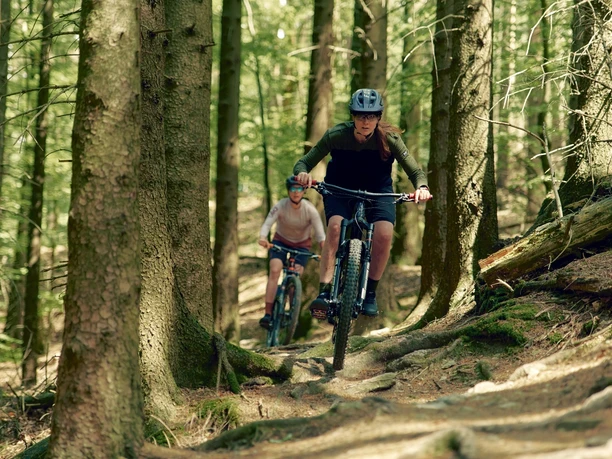 Zwei Mountainbiker fahren auf einem schmalen Waldtrail zwischen hohen Bäumen.