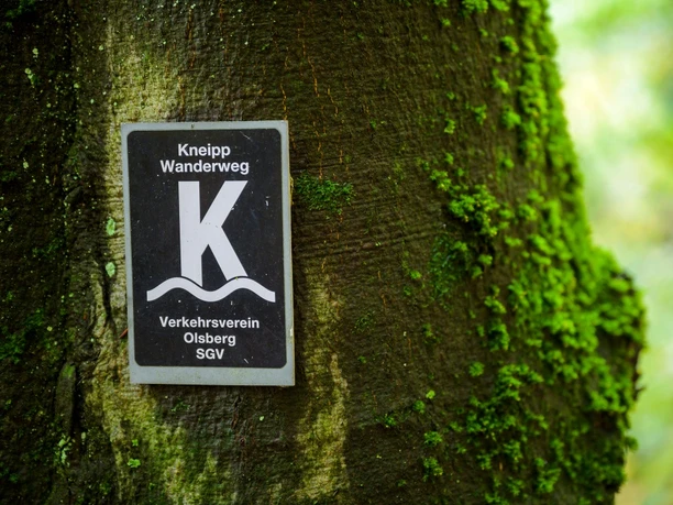 Olsberger Kneipp WanderWeg