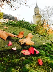 Fotowalk Herbst
