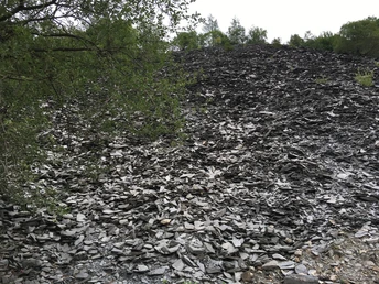 Schieferhalde am Iberg in Willingen