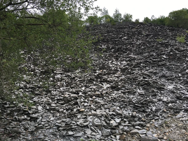 Schieferhalde am Iberg in Willingen