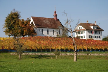 Weinbau_Mariazell_01.JPG