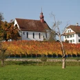 Weinbau_Mariazell_01.JPG