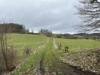 Wiesenweg B2 in Boemighausen