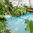 Center_Parcs_1.jpg Innenansicht eines tropischen Schwimmbads mit üppiger Vegetation und schwimmenden Personen.