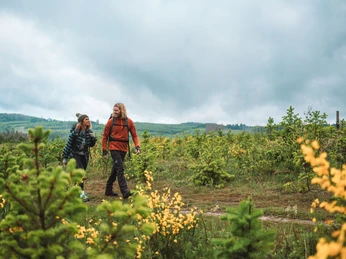Wanderpaar auf einem Hoehenzug im Sauerland