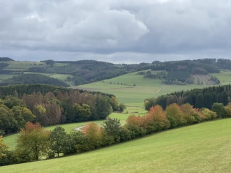 Wanderung im Upland