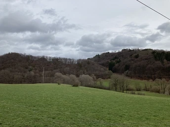 Wiesenlandschaft bei Eimelrod