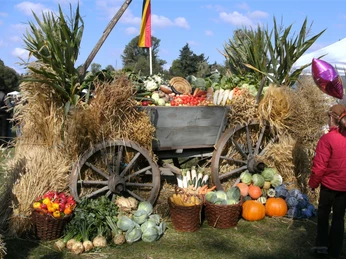 Usinger Laurentiusmarkt