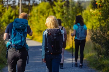Wandergruppe im Upland