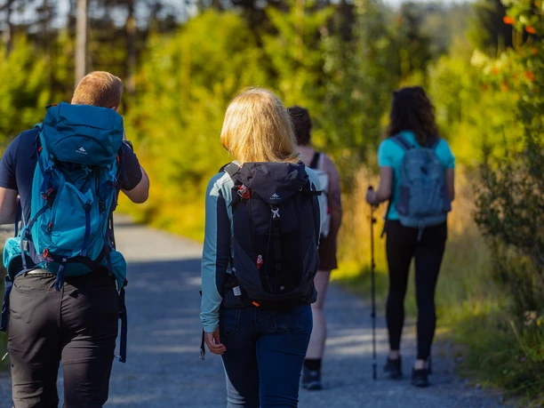 Wandergruppe im Upland