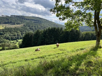 Wiesenlandschaft am H2 in Hemmighausen