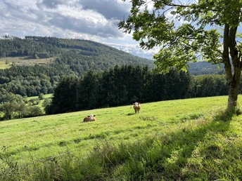Wiesenlandschaft am H2 in Hemmighausen