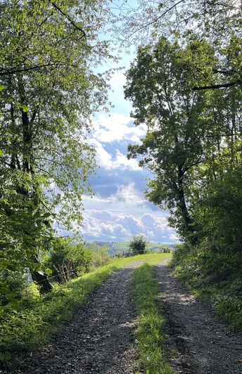 Am Wanderweg H2 bei Hemmighausen