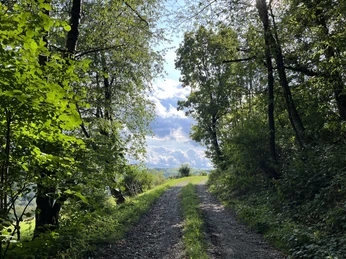 Am Wanderweg H2 bei Hemmighausen