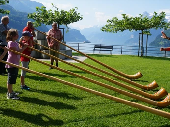 alphornschnupperkurs