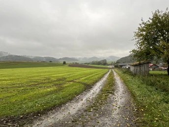 Schöne Aussicht am Wanderweg