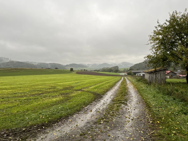 Schöne Aussicht am Wanderweg