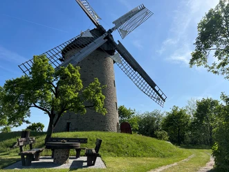 Eine historische Windmühle mit großen Flügeln steht auf einer grünen Wiese, umgeben von Bäumen.