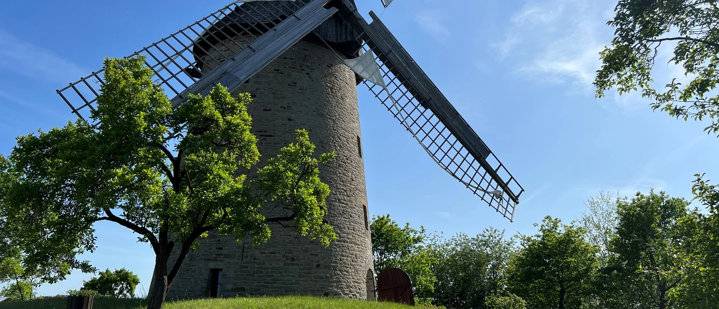 Eine historische Windmühle mit großen Flügeln steht auf einer grünen Wiese, umgeben von Bäumen.