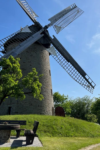 Eine historische Windmühle mit großen Flügeln steht auf einer grünen Wiese, umgeben von Bäumen.
