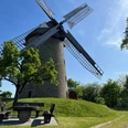 Stadt Petershagen_Seelenfeld_Evelyn Hotze_Mühle_außen_Rastplatz_Sommer_quer.jpg Eine historische Windmühle mit großen Flügeln steht auf einer grünen Wiese, umgeben von Bäumen.