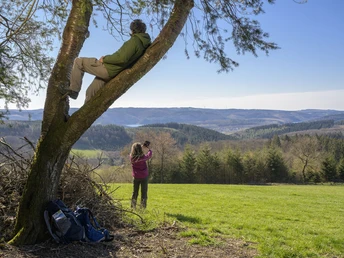 Wanderer auf einem Baum mit toller Aussicht