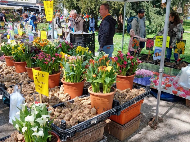 Kunst- und Gartenmarkt